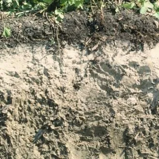 Soil Classification Image